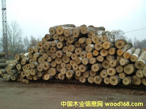 ��ľ��Ԕ����B