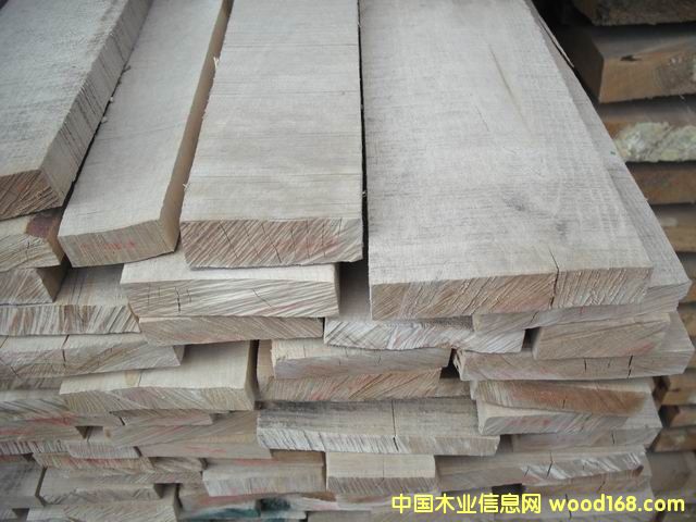 樺木的詳細(xì)介紹