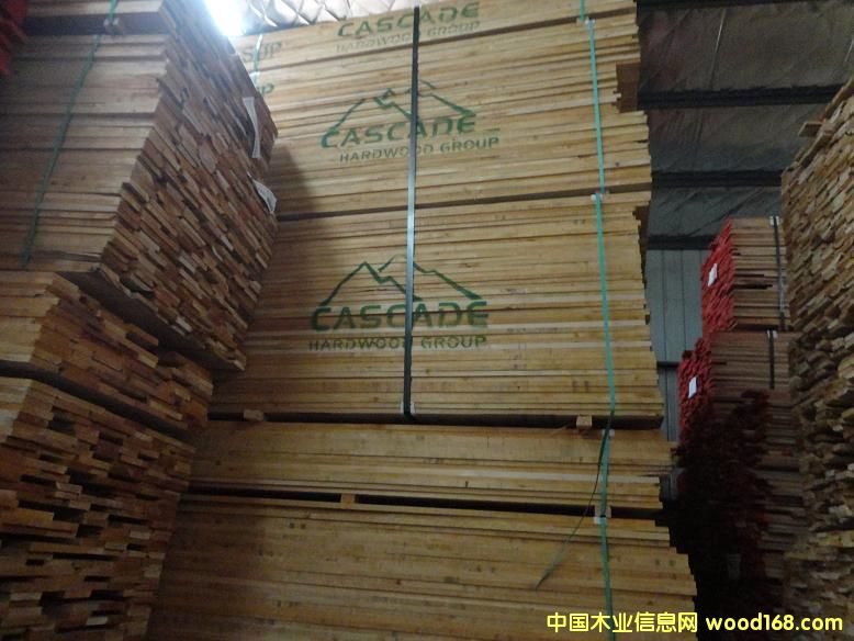 4/4 SUP ����