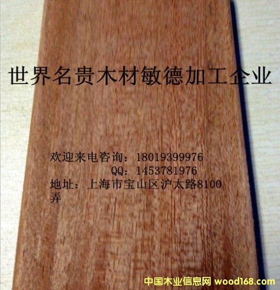 柳桉木的詳細(xì)介紹