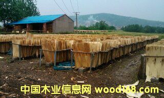 ���Іΰ��Ԕ��(x��)��B