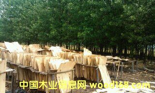 ���Іΰ��Ԕ��(x��)��B