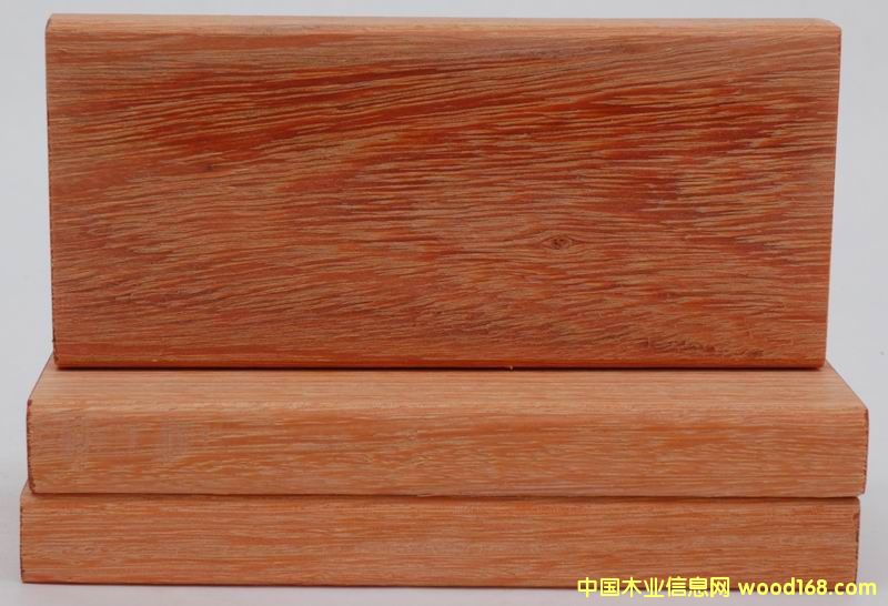 ����˹5��Ԕ��(x��)��B