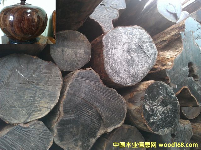 ���_�T(m��n)Tubi���~��̴