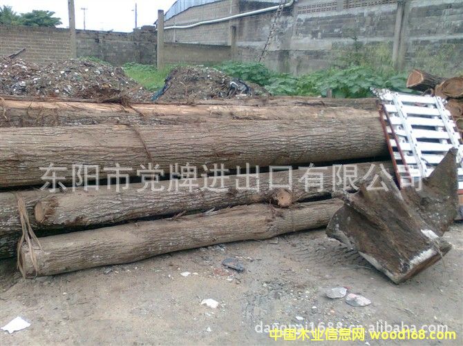 �Ʋ�ľ������֦����Ԕ��(x��)��B