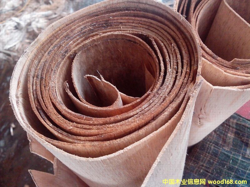 ��ľ�ΰ��Ԕ��(x��)��B