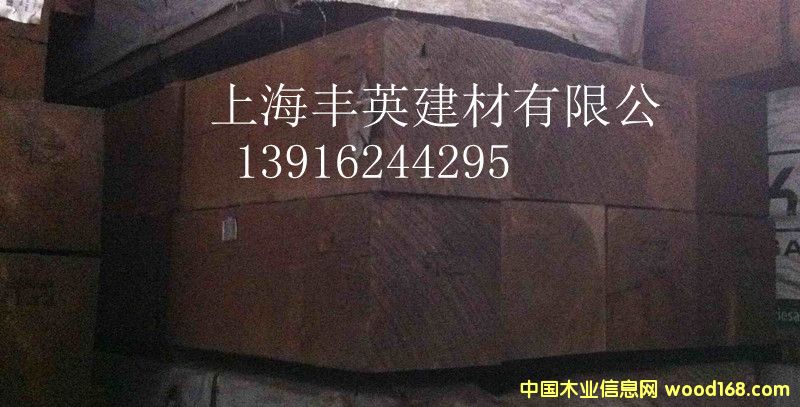 花旗松的詳細(xì)介紹