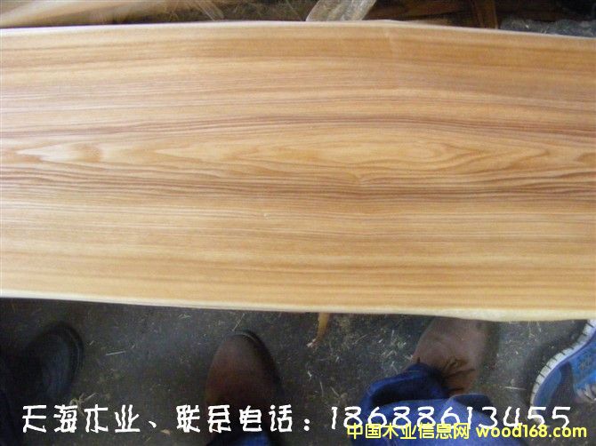 水曲柳的詳細(xì)介紹