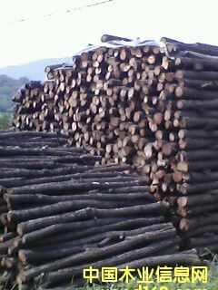 ��ľ2��Ԕ����B