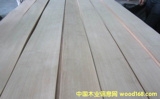 櫻桃直紋的詳細(xì)介紹