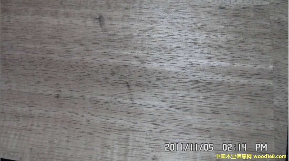 卡斯臘的詳細(xì)介紹