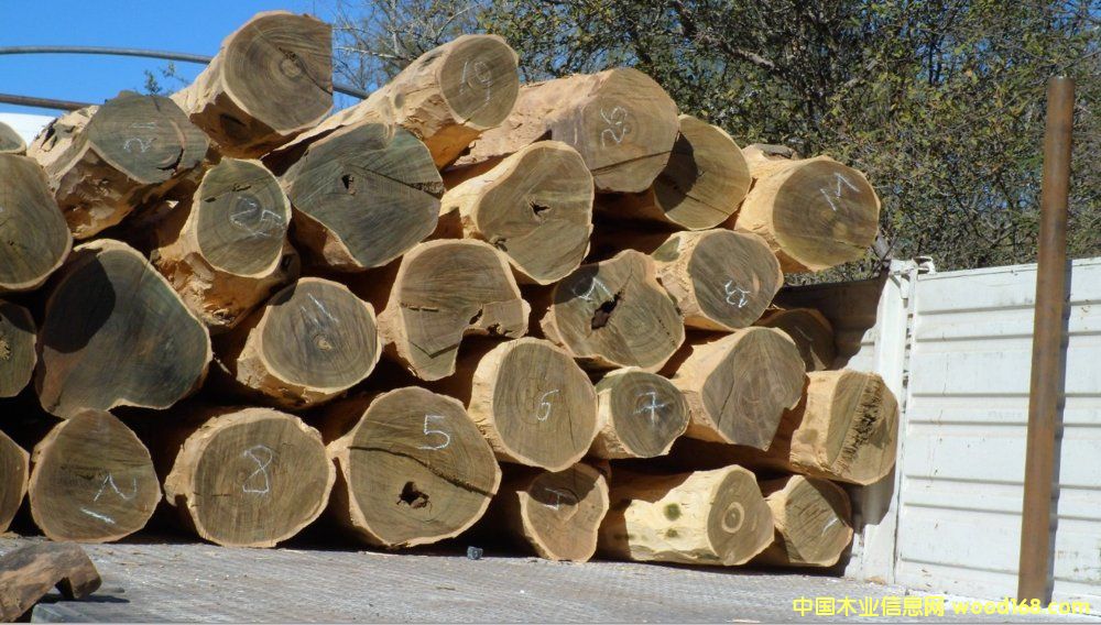 �G̴��Ƥԭľ��Ԕ��(x��)��B