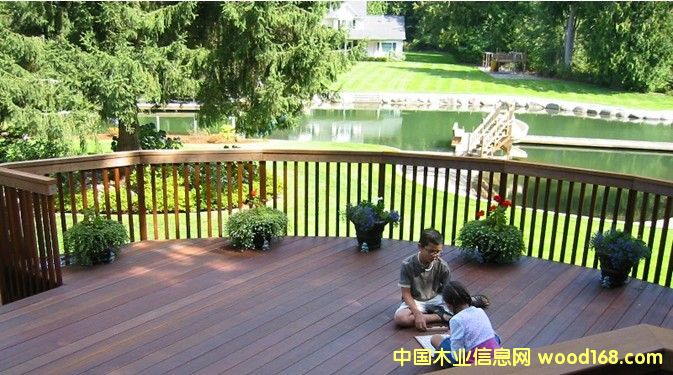 巴勞木的詳細(xì)介紹