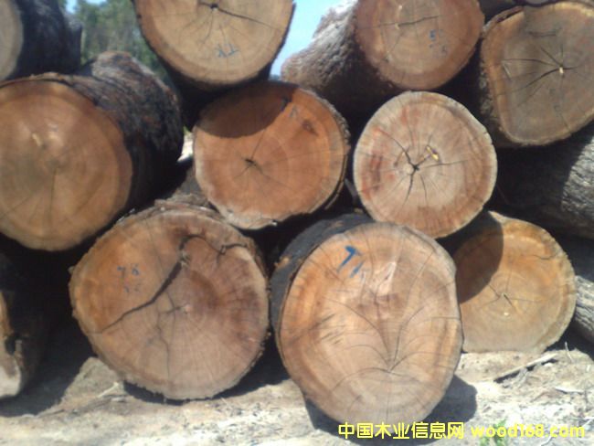 �t����ľ��Ԕ��(x��)��B