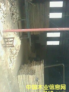 �S���Ԕ����B