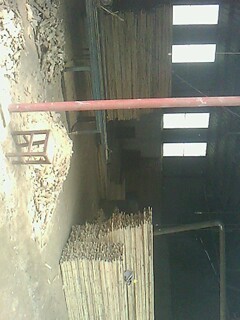 ��ľ��Ԕ����B