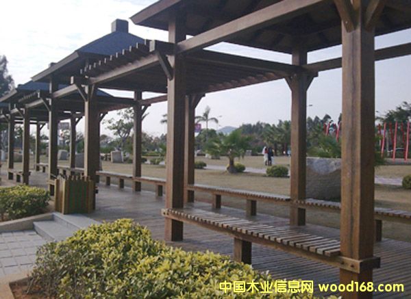 柳桉木的詳細介紹