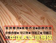 花旗松的詳細介紹