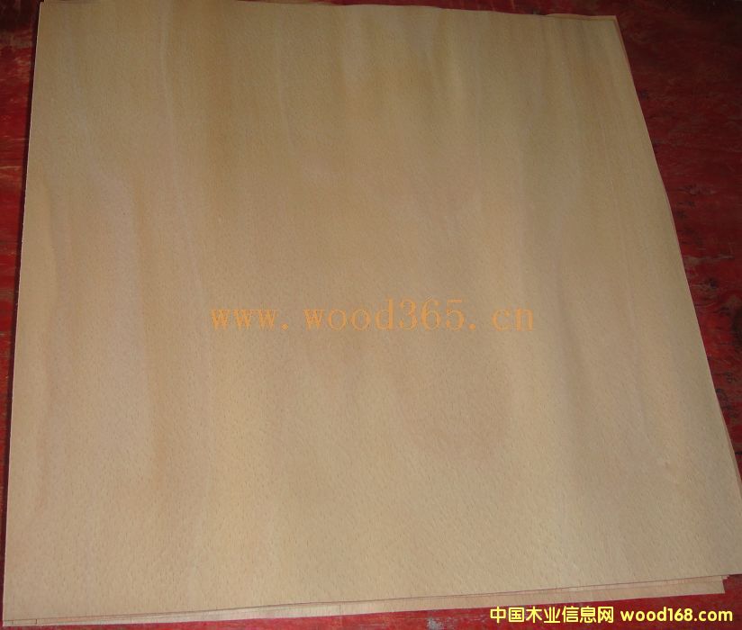  ��ľ�����