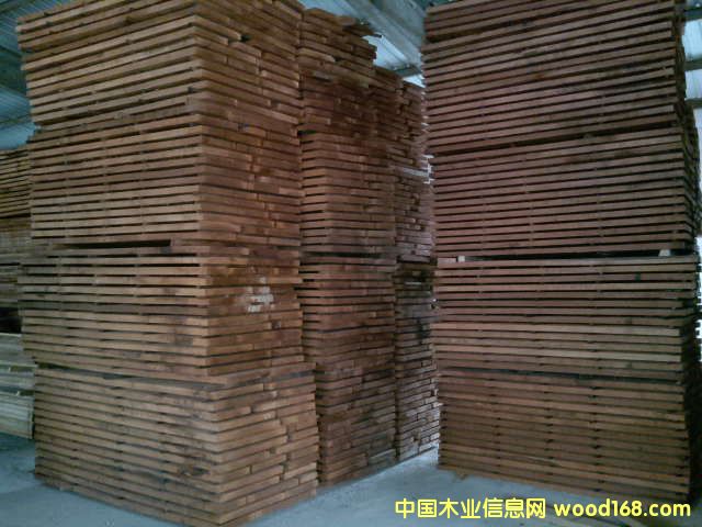 TER����ľ��Ԕ��(x��)��B