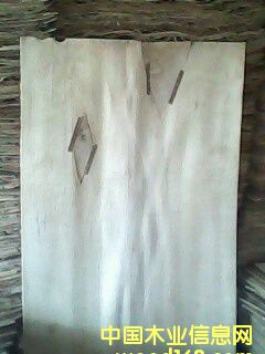 ��ľо���Ԕ��(x��)��B