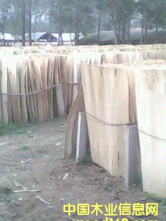 ��ľо���Ԕ��(x��)��B