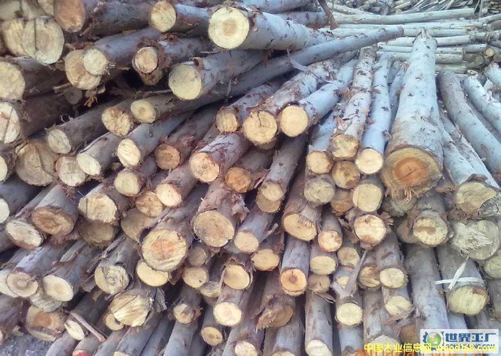 ����Ԕ��(x��)��B