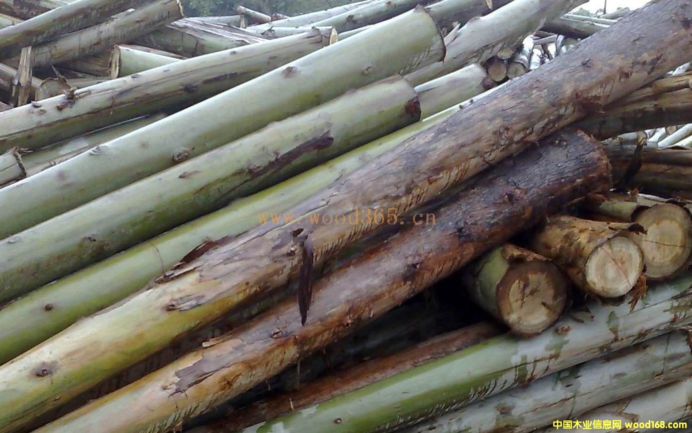 ����Ԕ��(x��)��B