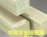 [��]   ���_ľ�I(y��) �M(j��n)�ڷ��mľ ����