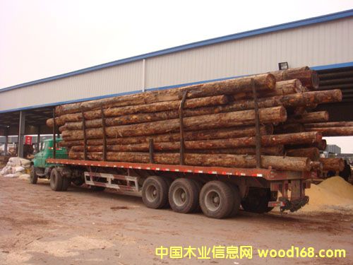 [��] ����˹ �𲻓Q �ʰͶ����r��  