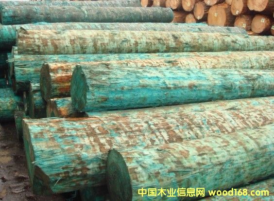 ԭľ��Ԕ����B