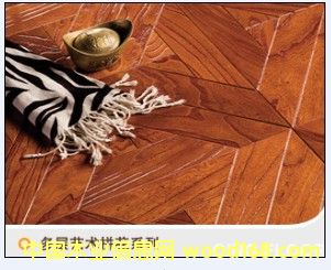 6302��Ԕ��(x��)��B