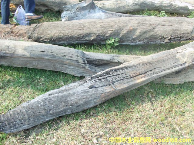 ꎳ�ľ46��Ԕ����B