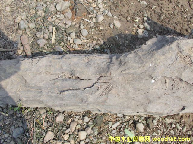 ꎳ�ľ74��Ԕ����B