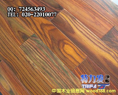 ��֦��(sh��)ľ�ذ��Ԕ��(x��)��B