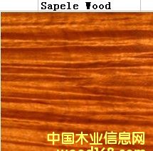 �_���Rľ��Ԕ��(x��)��B