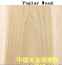 �M(j��n)�ڗ���Ԕ��(x��)��B