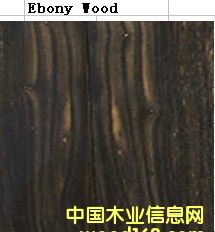 ��ľ����̴)��Ԕ��(x��)��B