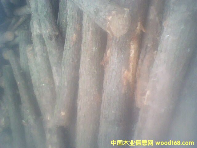 ��ԭľ��Ԕ��(x��)��B