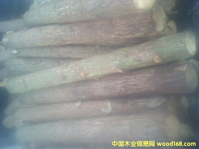 ɼԭľ��Ԕ��(x��)��B