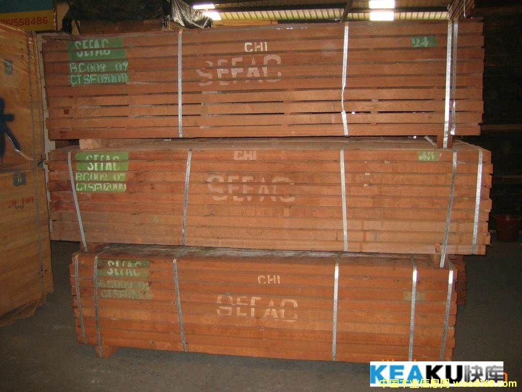 [��] �M�ں�ɾ�Ʒɳ����SAPELLI