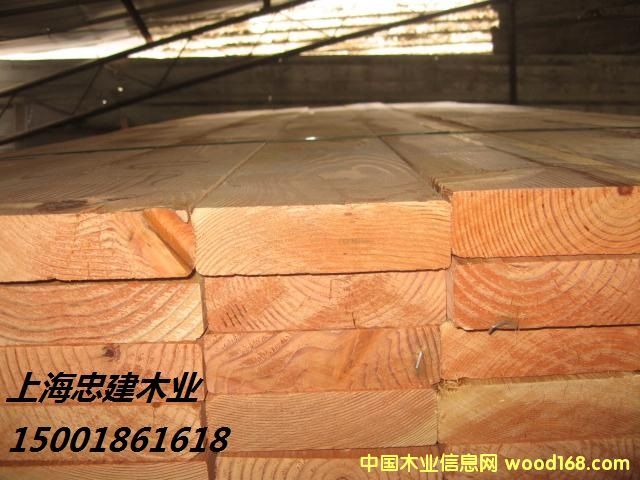 [��] ������̴Padauk