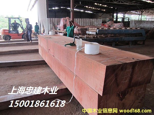 [��] ������̴Padauk