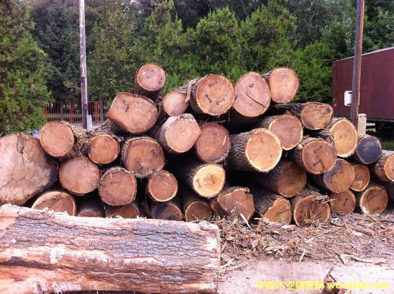 �W����ľ����ľ��Ԕ��(x��)��B