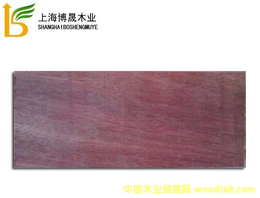 山樟木的詳細(xì)介紹