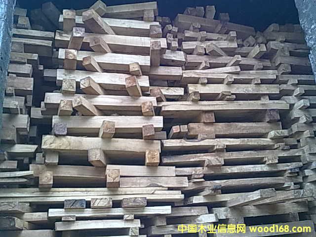 橡膠木的詳細介紹