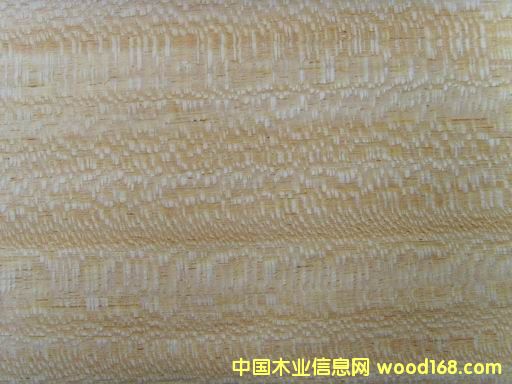 0.3mm�S��z��ƷľƤ