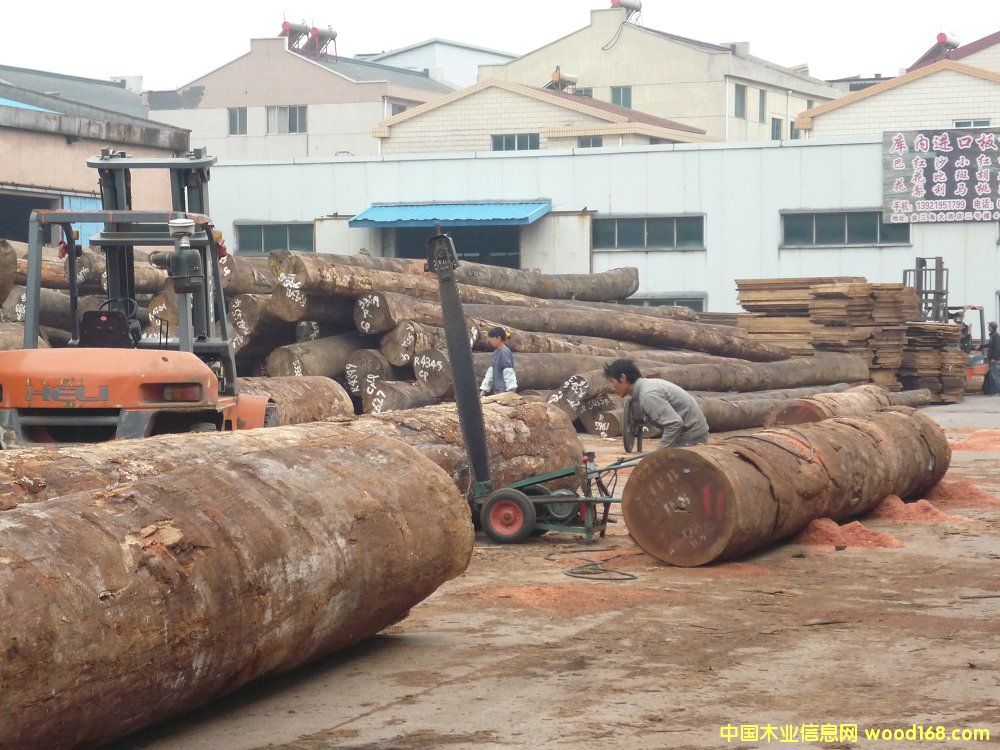 ɳ������ɰ�ĵ�Ԕ��(x��)��B