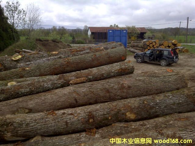 �W��ABC��(j��)