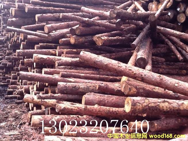 ���~�ɘ�ľ